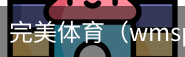完美体育，WMsports，完美体育官方，完美体育平台，完美体育下载